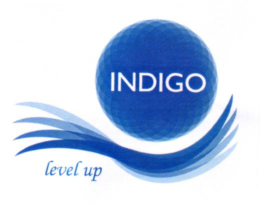 INDIGO LEVEL UP