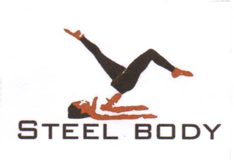 STEEL BODY