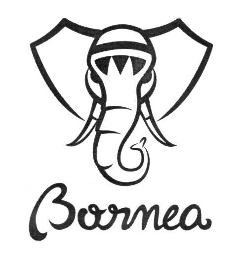 BORNEA