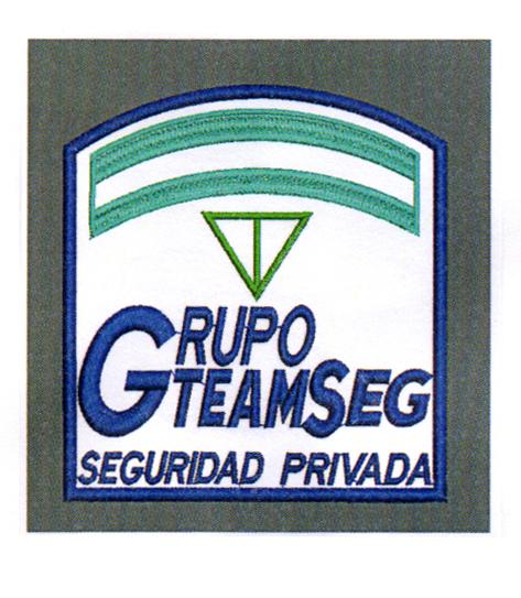 GRUPO TEAMSEG SEGURIDAD PRIVADA