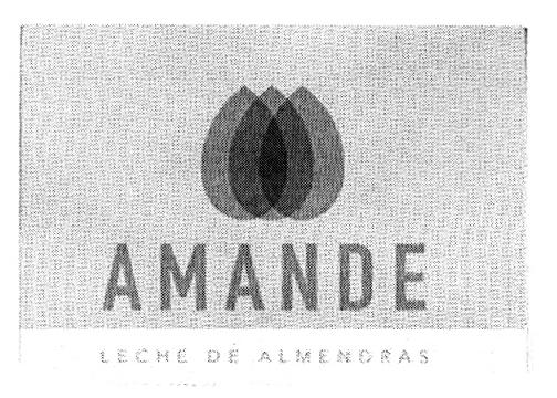 AMANDE LECHE DE ALMENDRAS