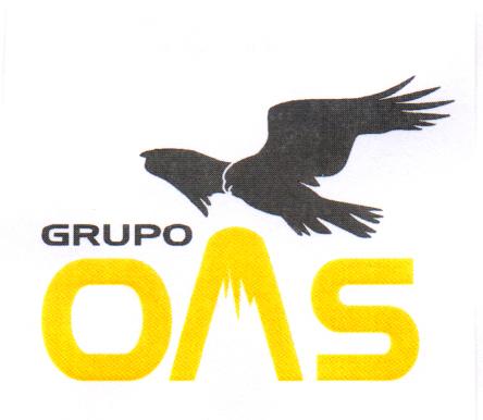 GRUPO OAS