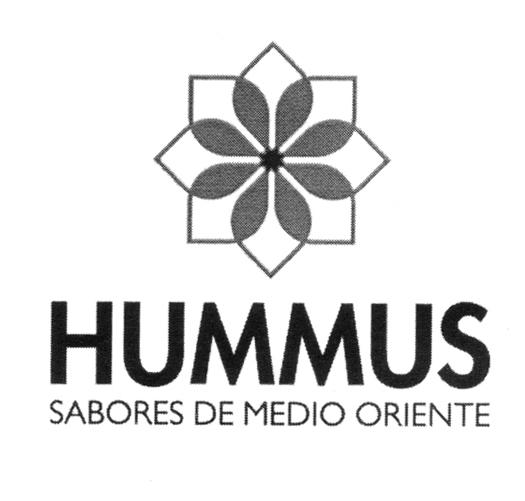 HUMMUS SABORES DE MEDIO ORIENTE