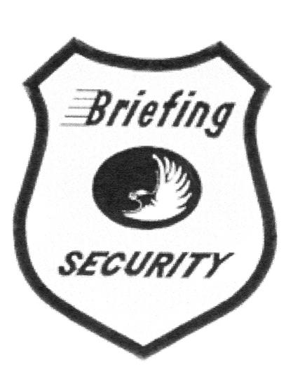 BRIEFING SECURITY