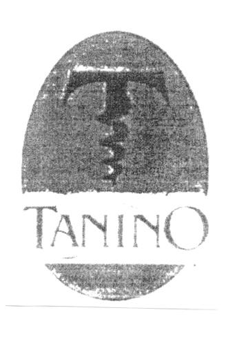 T TANINO