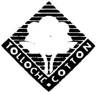 TOLLOCHE COTTON