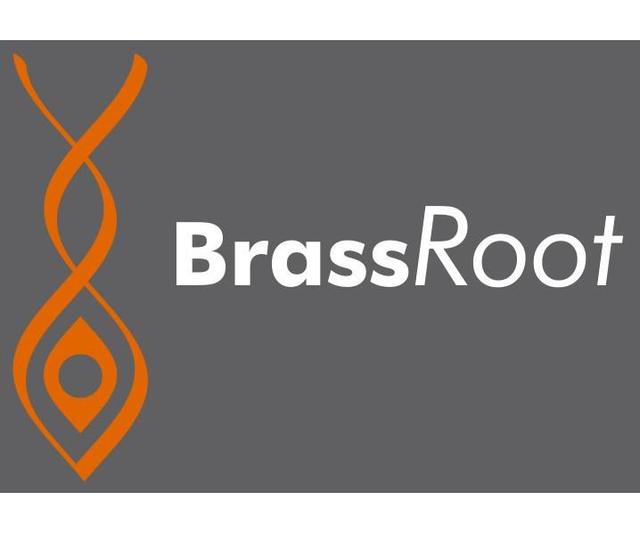 BRASS ROOT