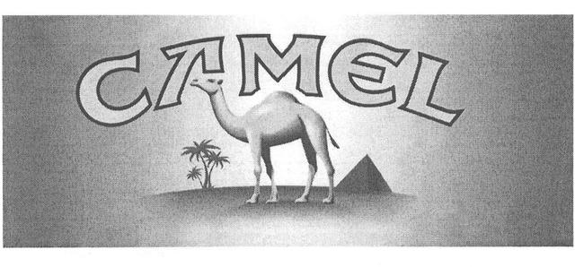 CAMEL