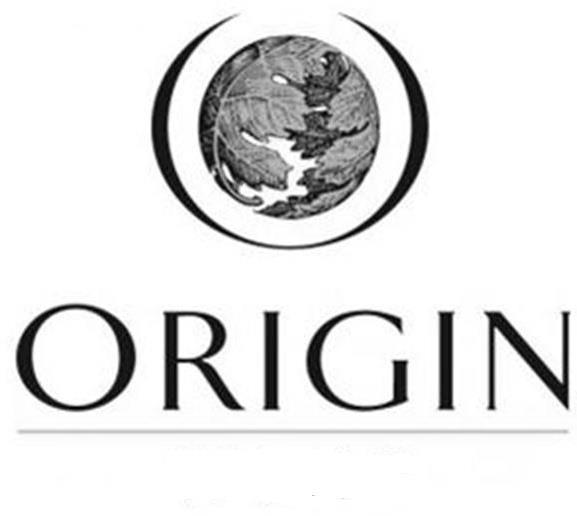 ORIGIN