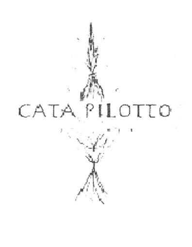 CATA PILOTTO