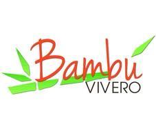 BAMBÚ VIVERO