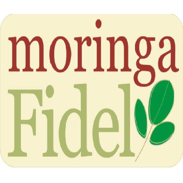 MORINGA FIDEL