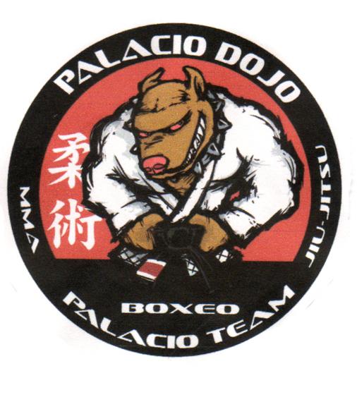 PALACIO DOJO BOXEO PALACIO TEAM MMA JIU JITSU