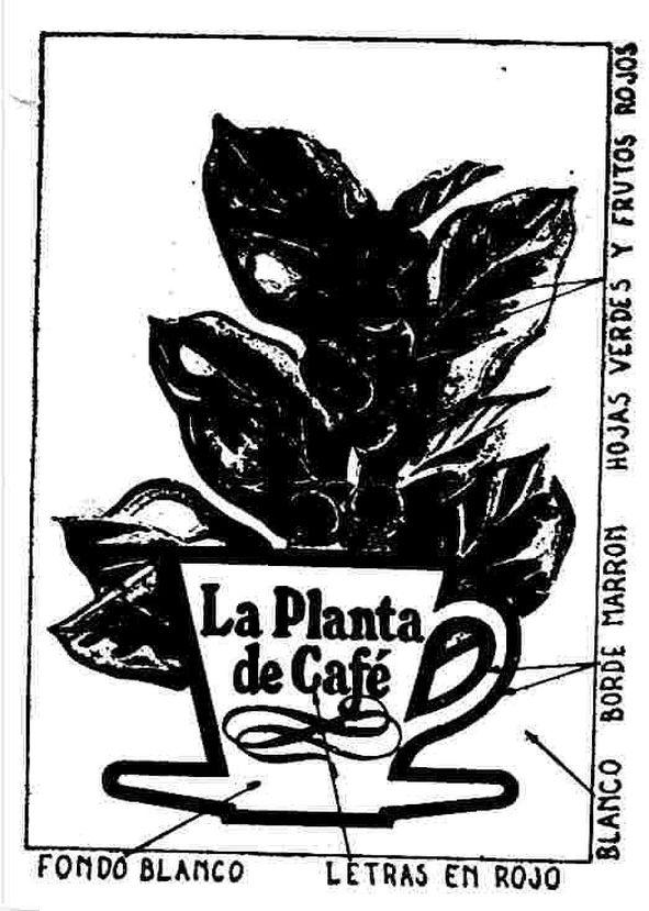 LA PLANTA DE CAFE