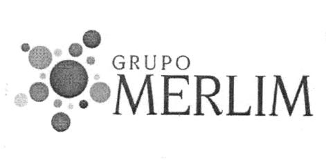 GRUPO MERLIM