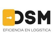 DSM EFICIENCIA EN LOGISTICA