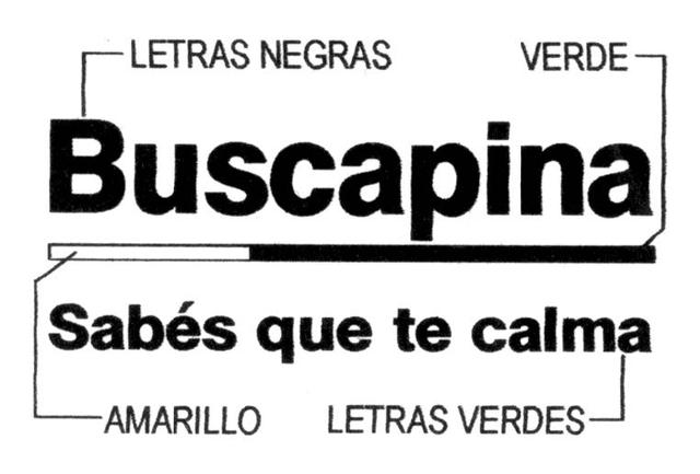 BUSCAPINA SABES QUE TE CALMA