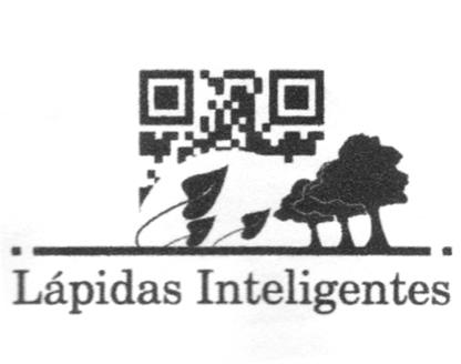 LAPIDAS INTELIGENTES