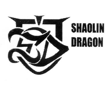 SHAOLIN DRAGON