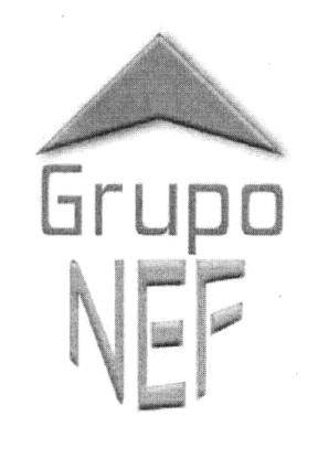 GRUPO NEF