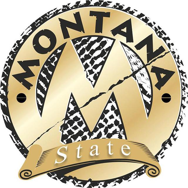 MONTANA M STATE