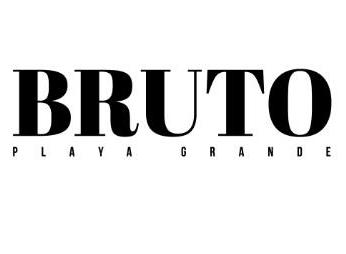 BRUTO PLAYA GRANDE