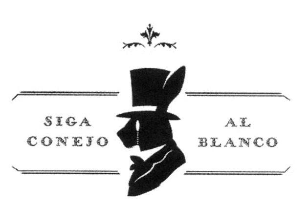 SIGA AL CONEJO BLANCO