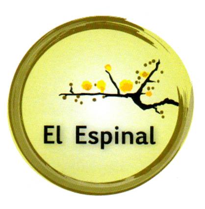 EL ESPINAL