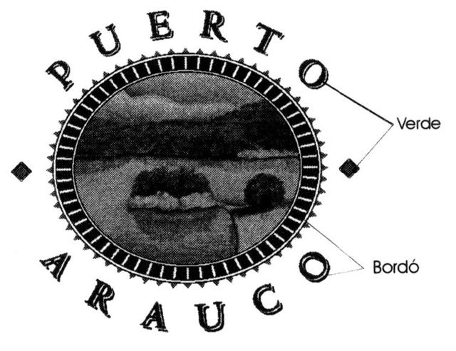 PUERTO ARAUCO