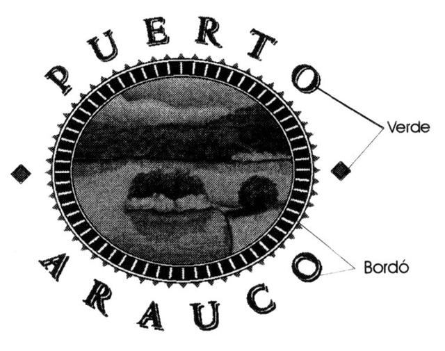 PUERTO ARAUCO