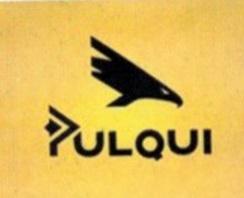 PULQUI