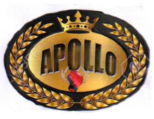 APOLLO