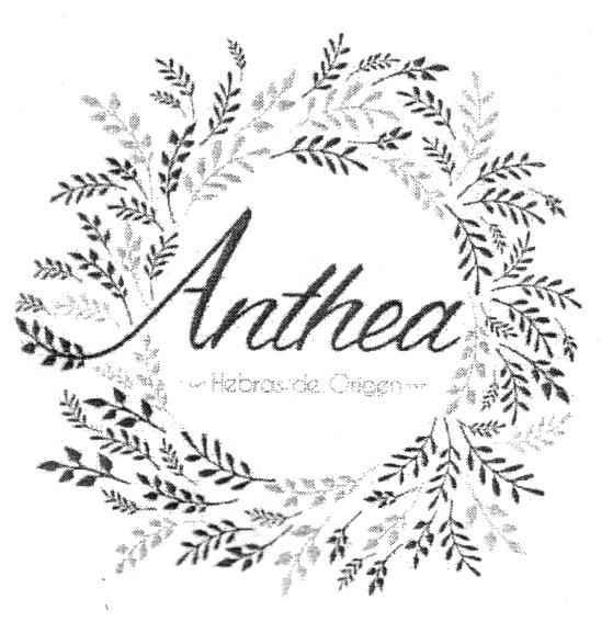 ANTHEA HEBRO DE ORIGEN