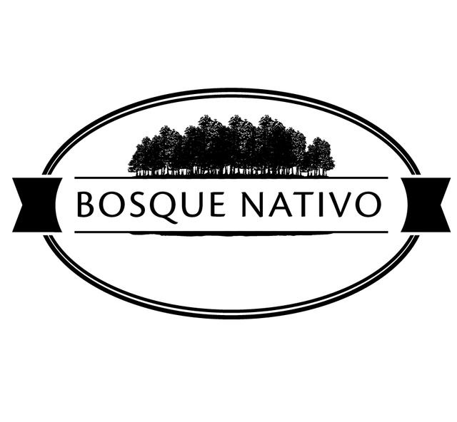 BOSQUE NATIVO