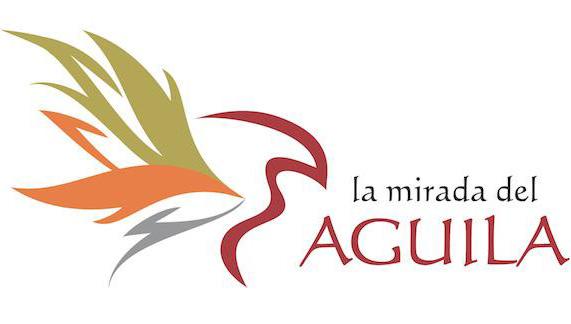 LA MIRADA DEL AGUILA