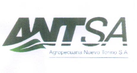 ANTSA AGROPECUARIA NUEVO TORINO S.A.