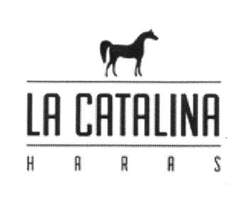 LA CATALINA HARAS