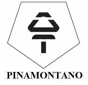 PINAMONTANO