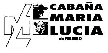 ML CABAÑA MARIA LUCIA DE FERRERO