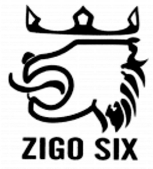 ZIGO SIX