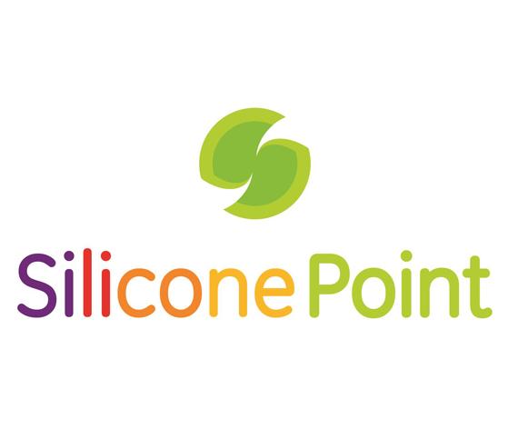 SILICONE POINT