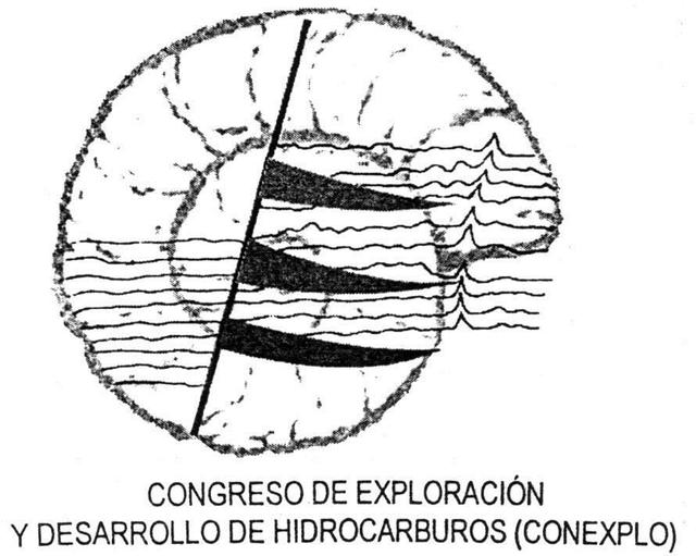 CONGRESO DE EXPLORACION Y DESARROLLO DE HIDROCARBUROS (CONEXPLO)