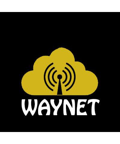 WAYNET