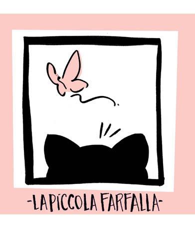 LA PICCOLA FARFALLA