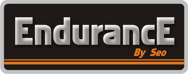 ENDURANCE BY SEO