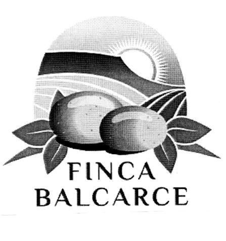FINCA BALCARCE