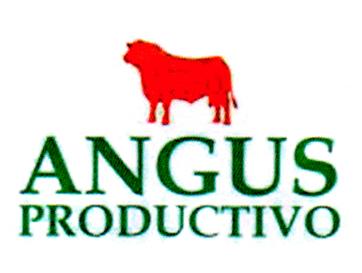 ANGUS PRODUCTIVO