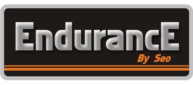 ENDURANCE BY SEO