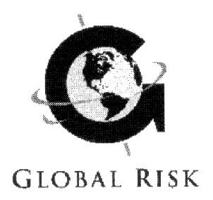 GLOBAL RISK