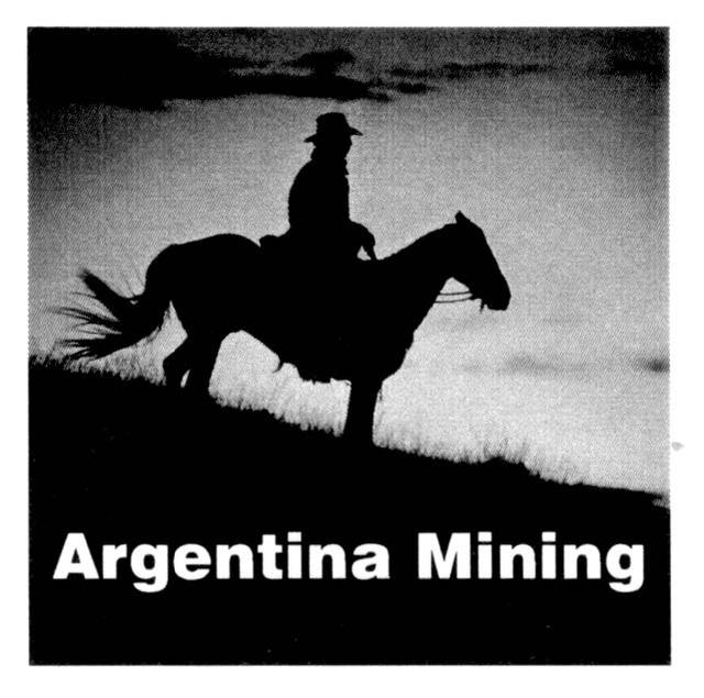 ARGENTINA MINING